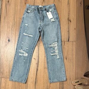 Distressed Blue Jeans Blank Paige